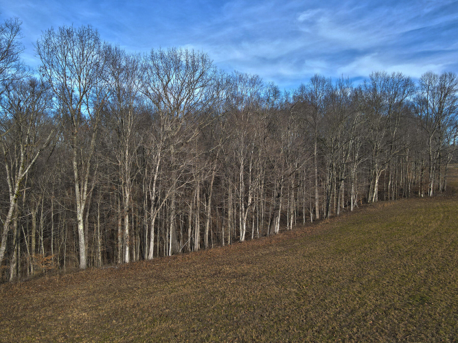 Listing Image 21