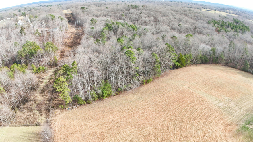 Listing Image 21