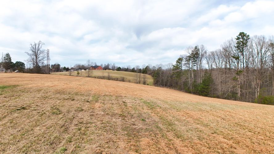 Listing Image 29