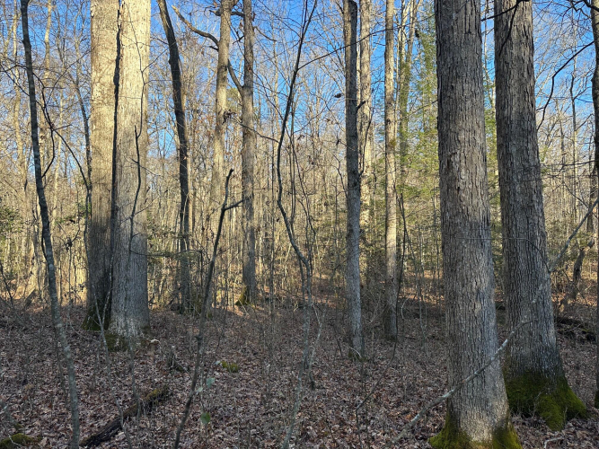 Listing Image 41