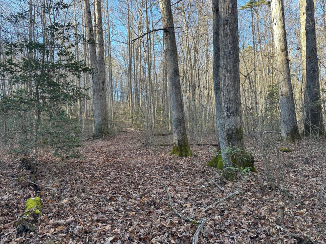 Listing Image 42