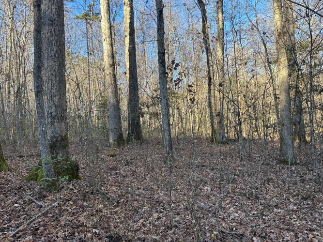 Listing Image 43