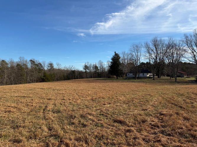 Listing Image 53