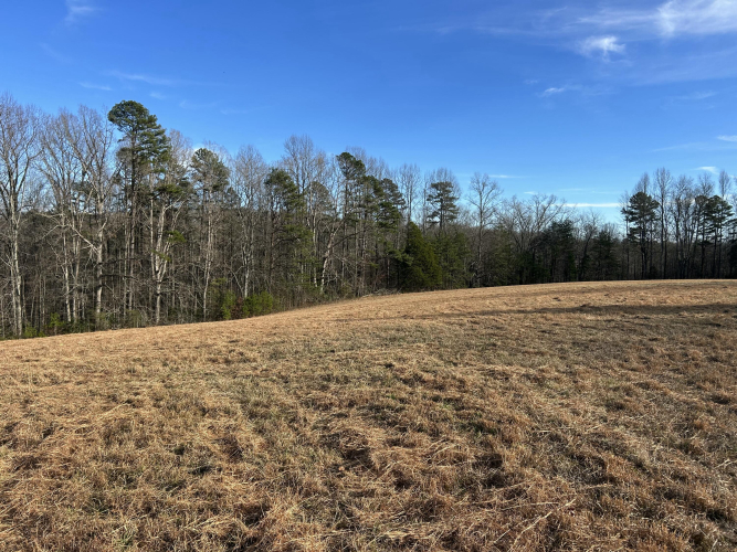 Listing Image 58