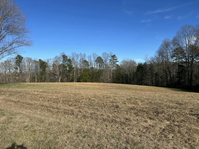 Listing Image 65