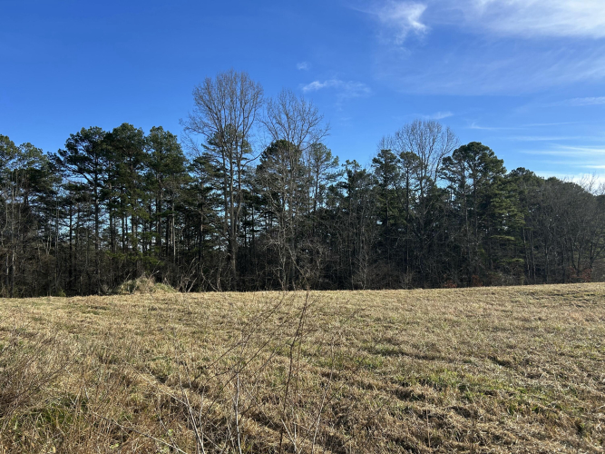 Listing Image 67