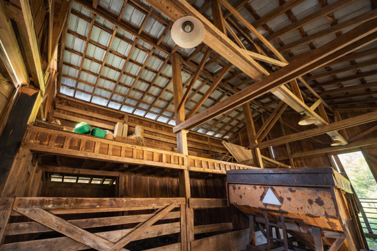 Listing Image 15