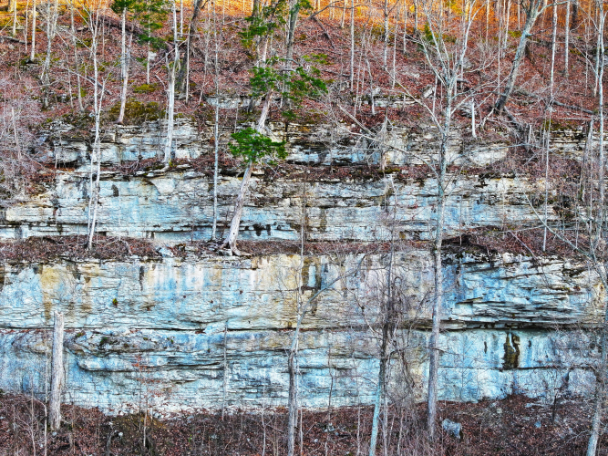 Listing Image 31