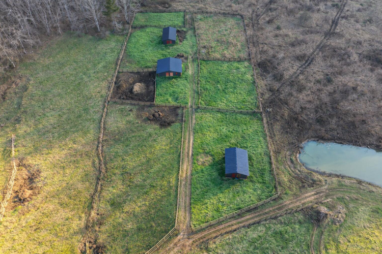 Listing Image 36