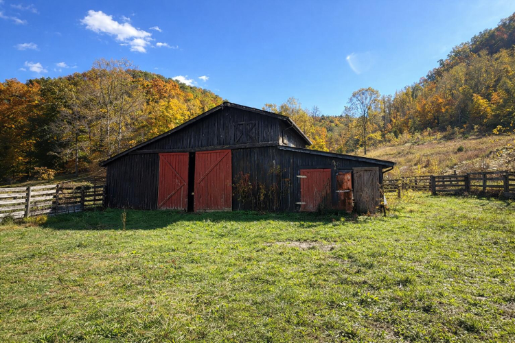 Listing Image 10