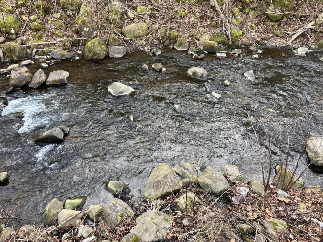 Listing Image 32