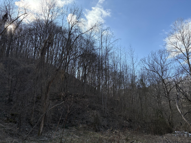 Listing Image 12