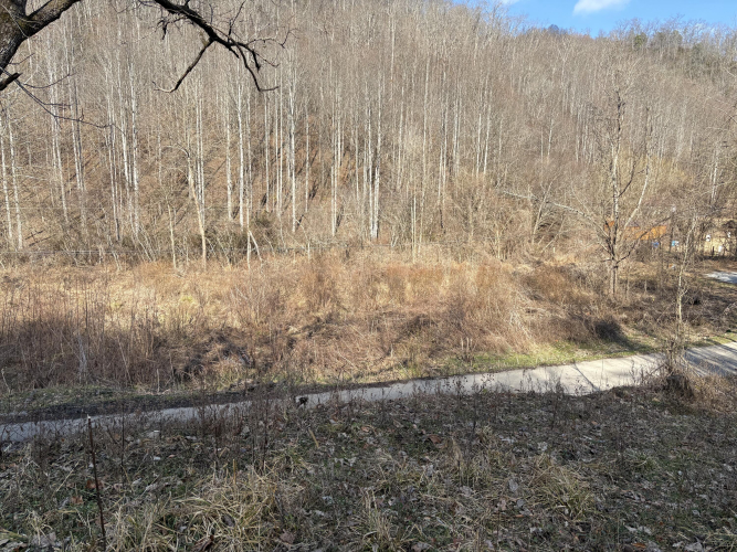 Listing Image 14