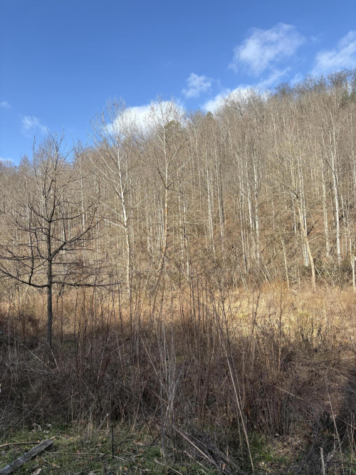 Listing Image 16