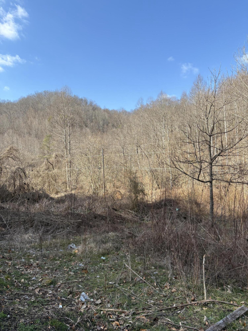 Listing Image 17