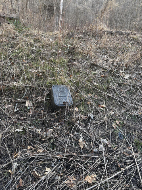 Listing Image 18