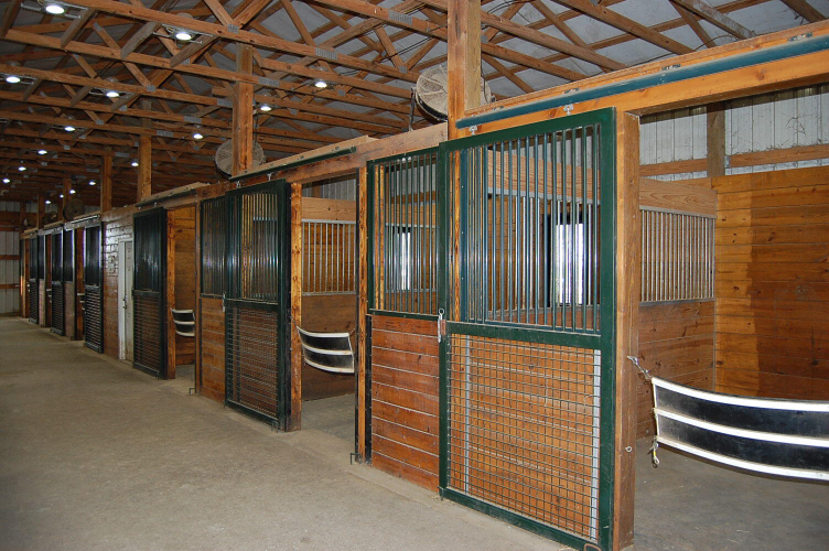 Listing Image 11