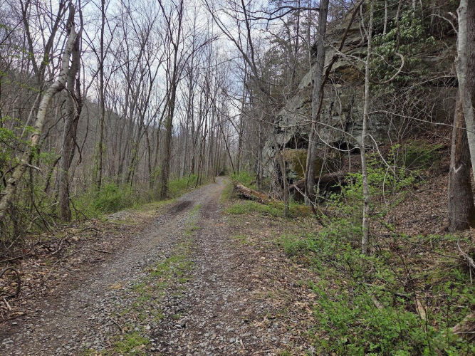 Listing Image 13
