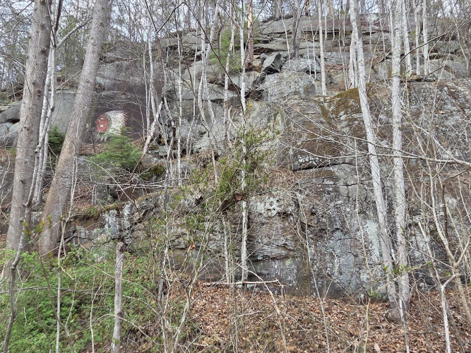 Listing Image 15