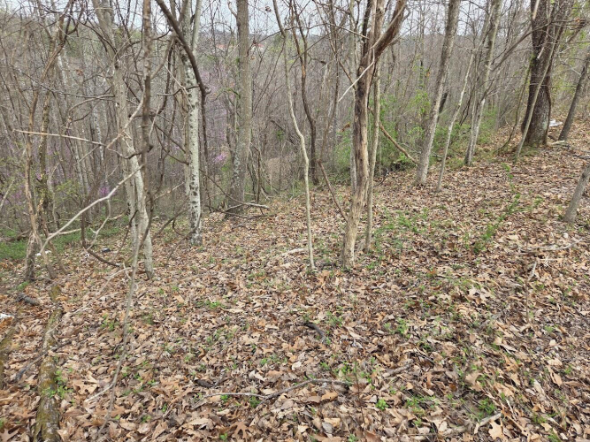 Listing Image 17