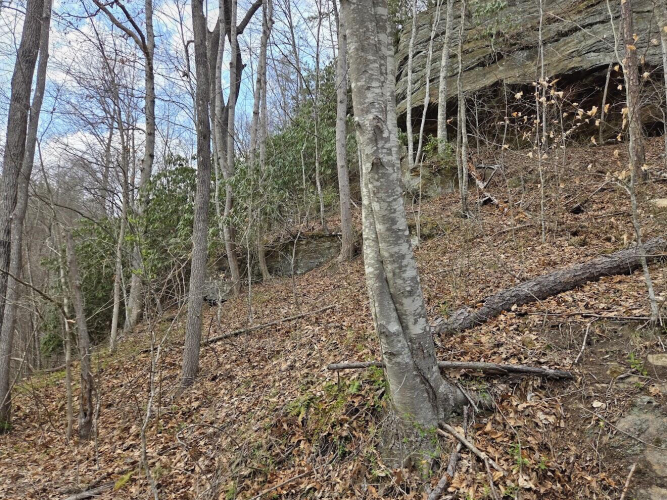 Listing Image 9