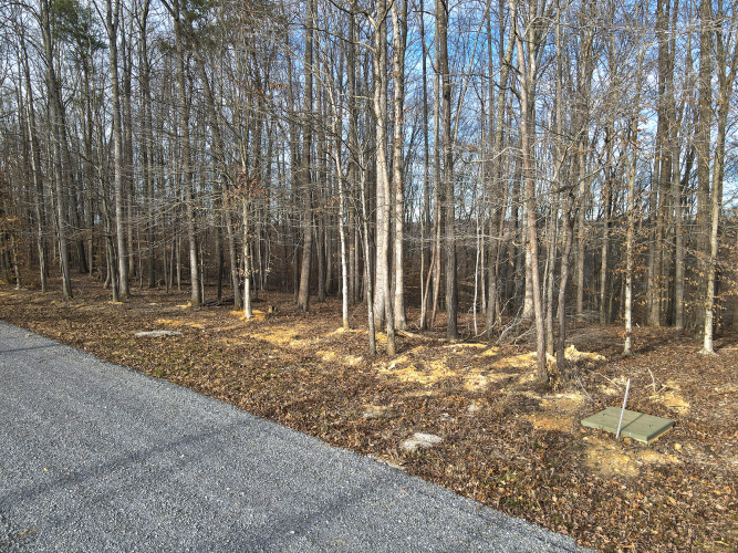 Listing Image 9
