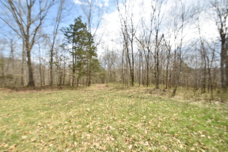 Listing Image 101