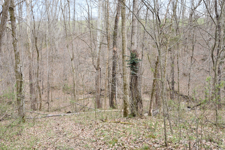 Listing Image 102