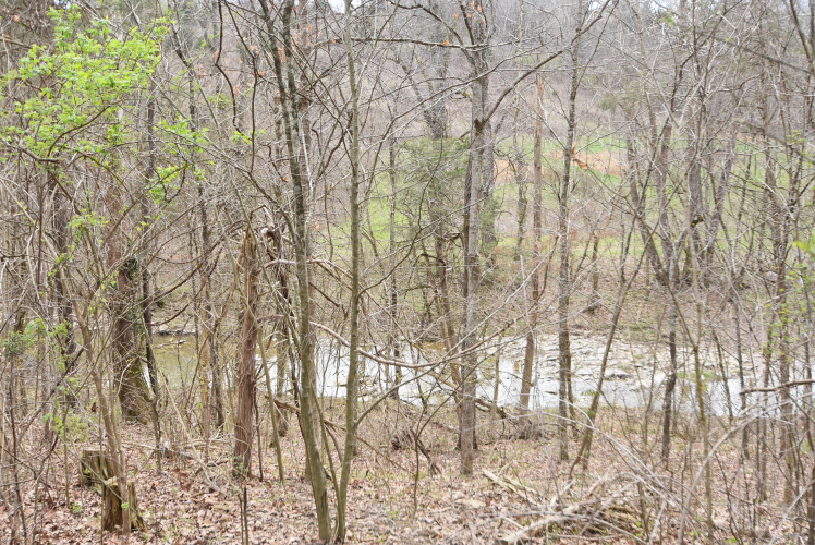 Listing Image 103