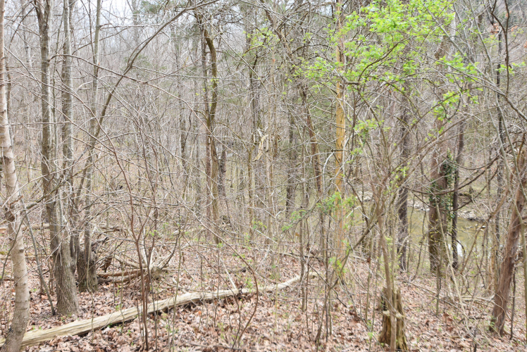 Listing Image 104