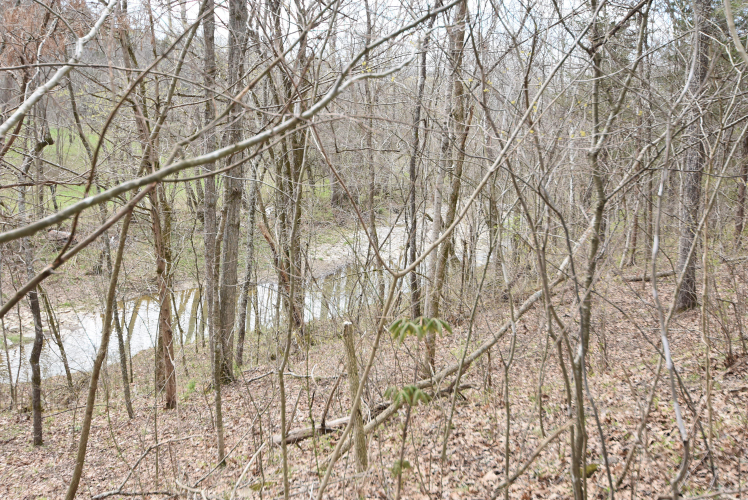 Listing Image 105