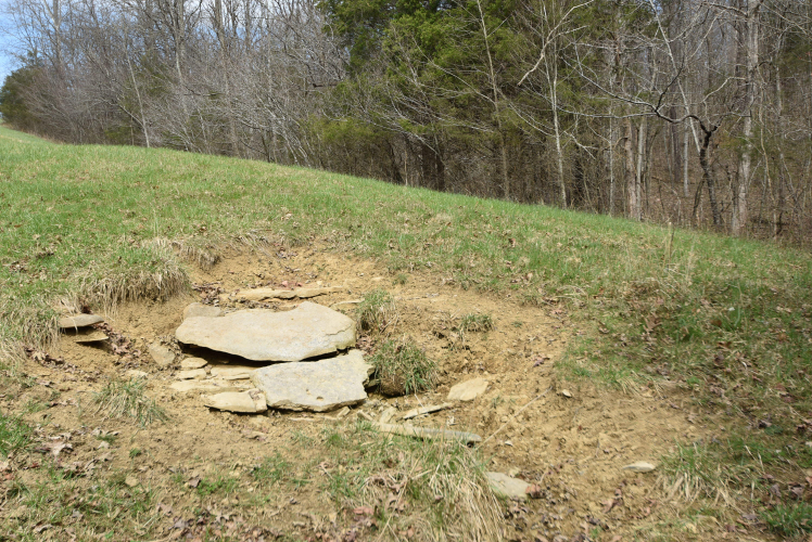Listing Image 106