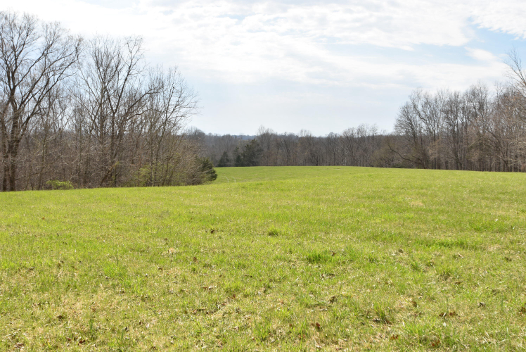 Listing Image 107