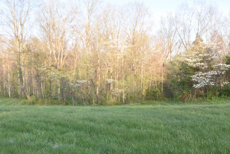 Listing Image 109