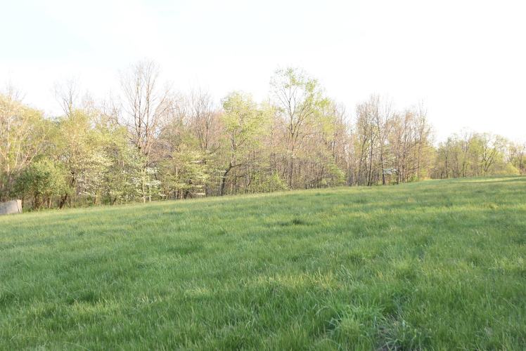 Listing Image 110