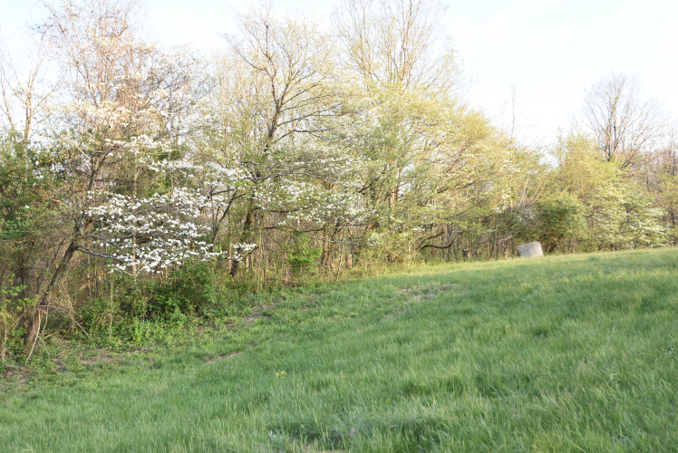 Listing Image 111