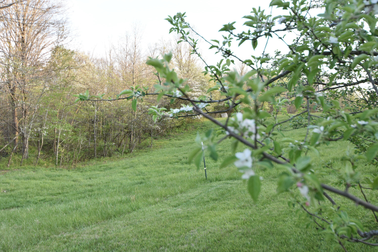 Listing Image 114