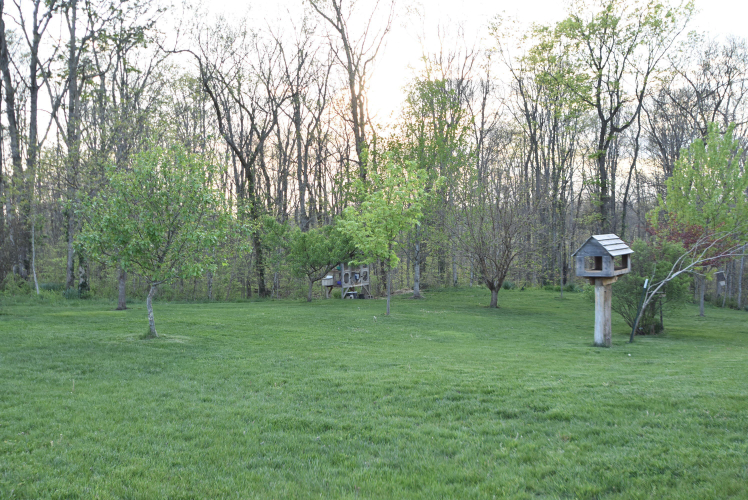 Listing Image 115
