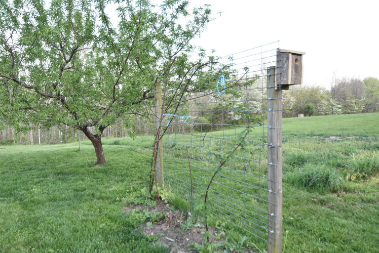 Listing Image 116