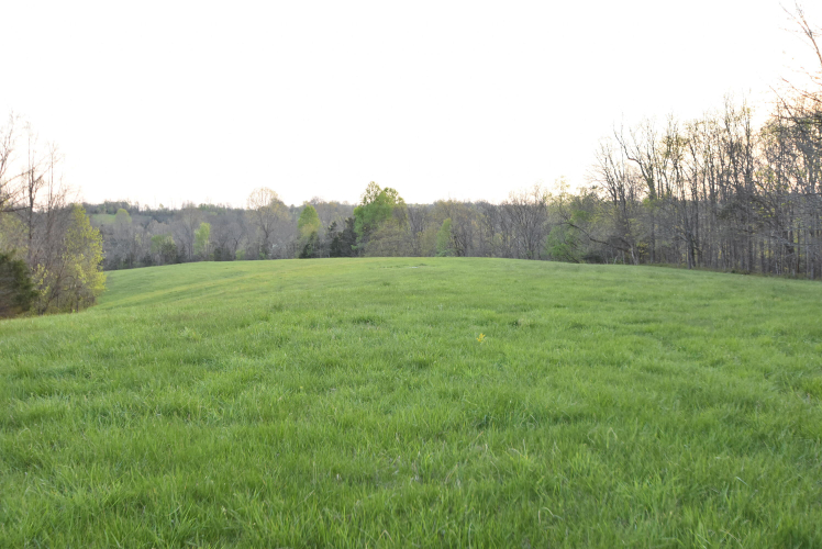 Listing Image 117