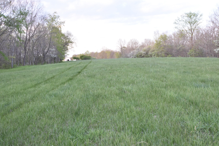 Listing Image 118
