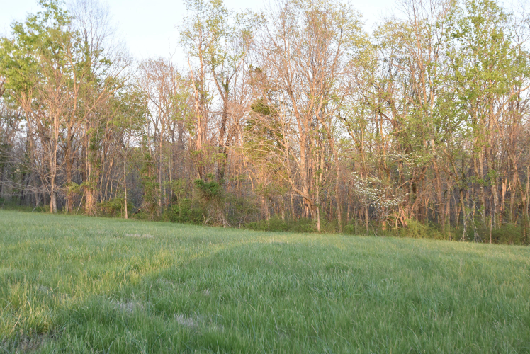 Listing Image 119