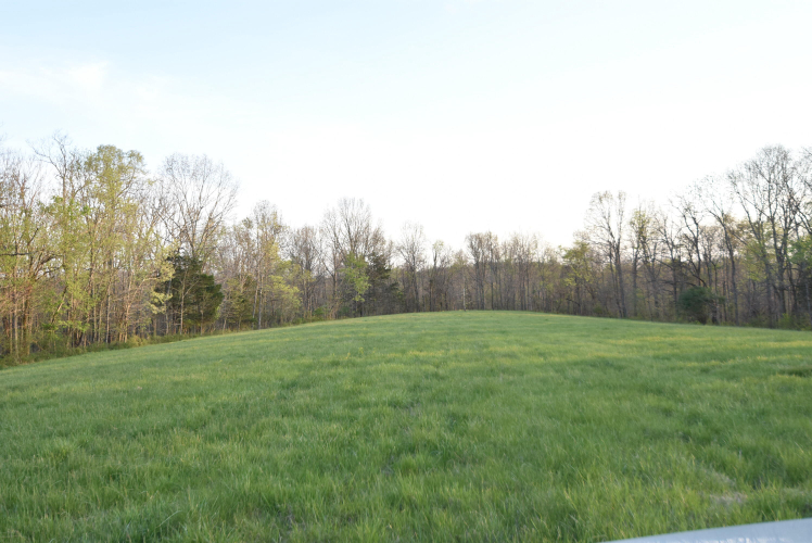 Listing Image 120
