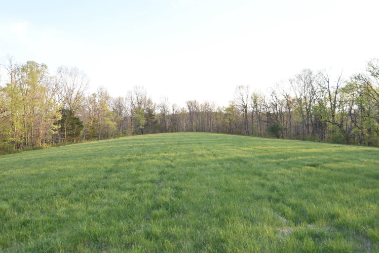 Listing Image 121