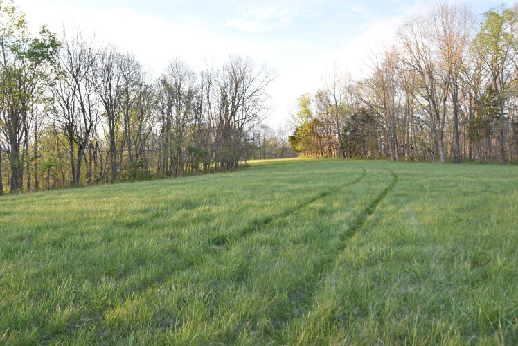 Listing Image 122
