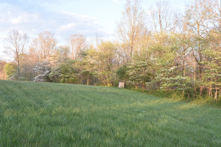 Listing Image 123