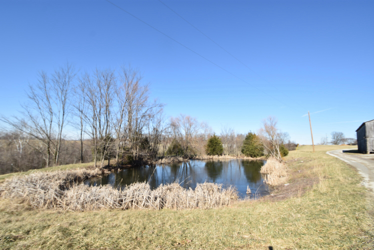 Listing Image 68