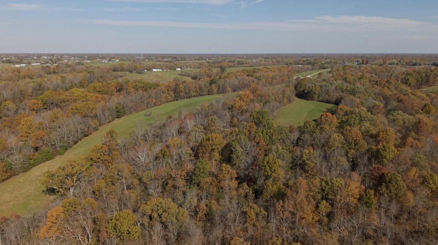 Listing Image 80