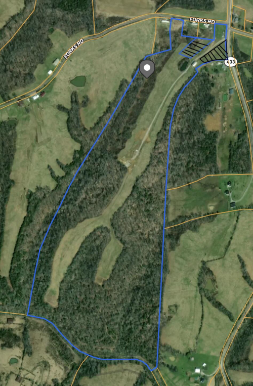 Listing Image 83