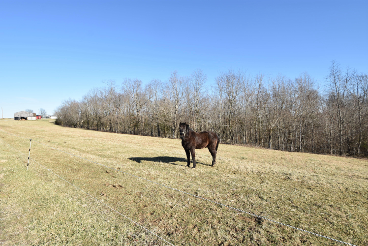 Listing Image 84